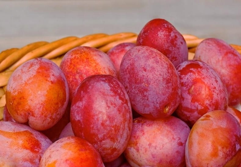 Čas hraje u slivoní v zahradě hlavní roli