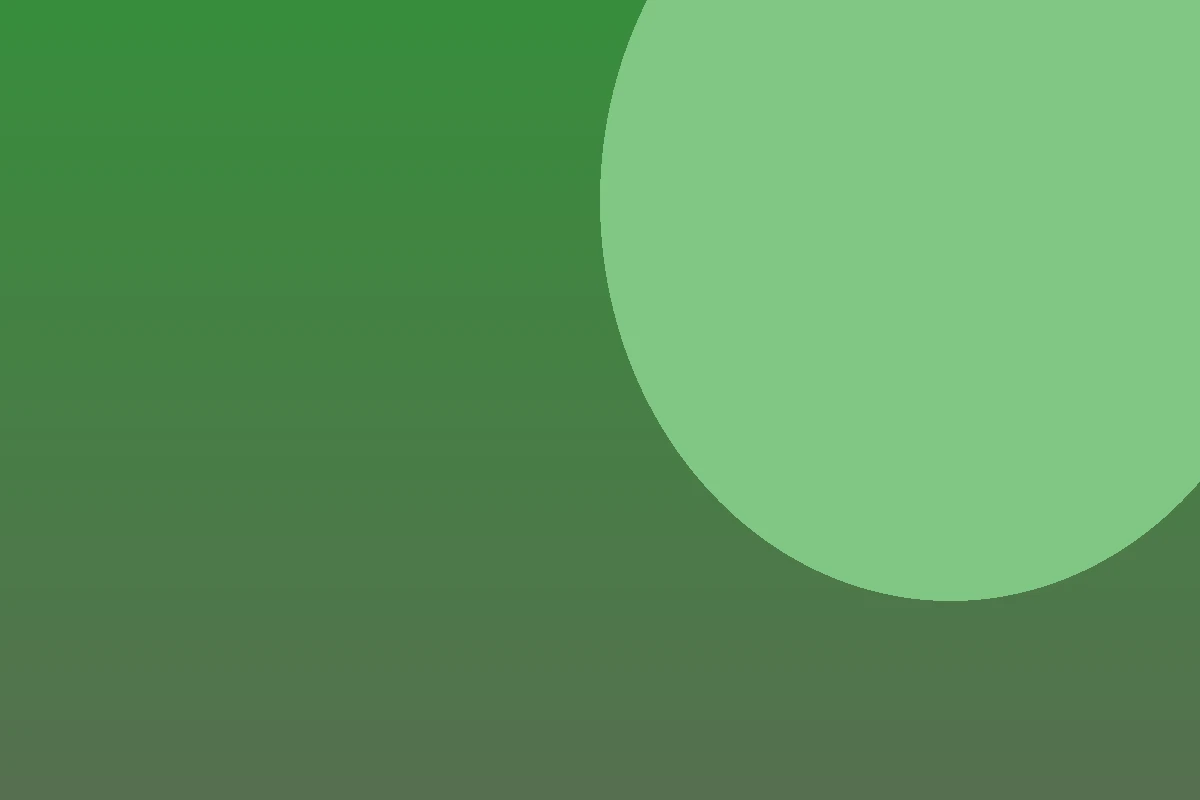 Zahradnictví Mráz v roce 2026: Velký průvodce nabídkou rostlin a 7 tipů pro výhodný nákup 2 Ukázka mrazuvzdorné keramiky a trvalek v zahradním centru